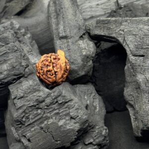 Ganesh Mukhi Rudraksh Bead – Wisdom, Prosperity & Divine Blessings