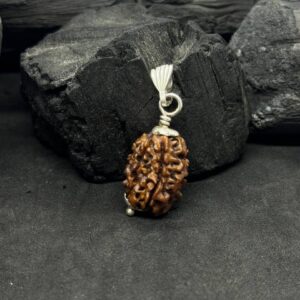 3 Mukhi Rudraksh Pendant with Silver Capped – Courage & Creativity