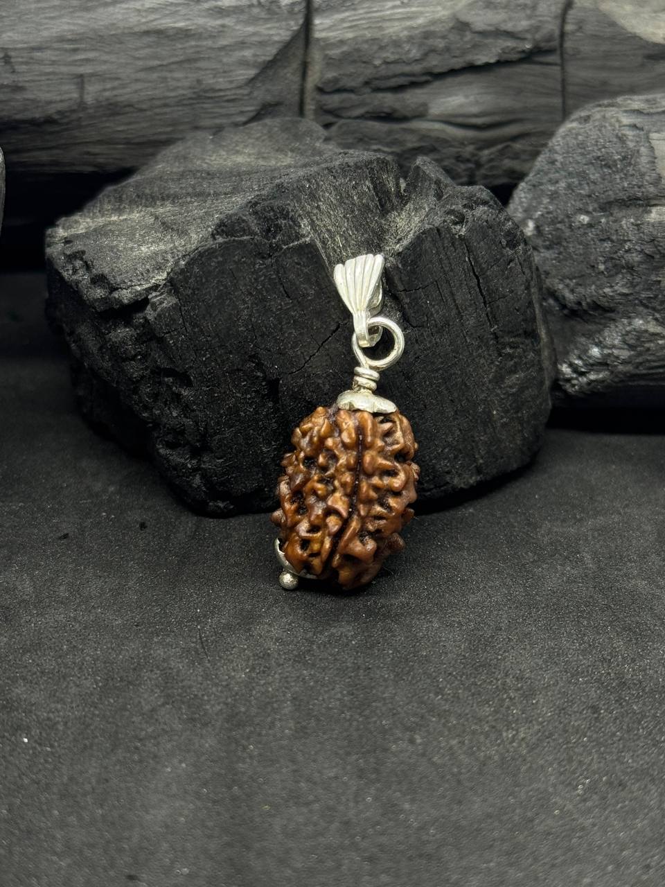 3 Mukhi Rudraksh Pendant with Silver Capped – Courage & Creativity
