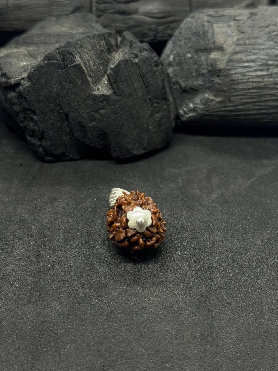 3 Mukhi Rudraksh Pendant with Silver Capped – Courage & Creativity - Image 4
