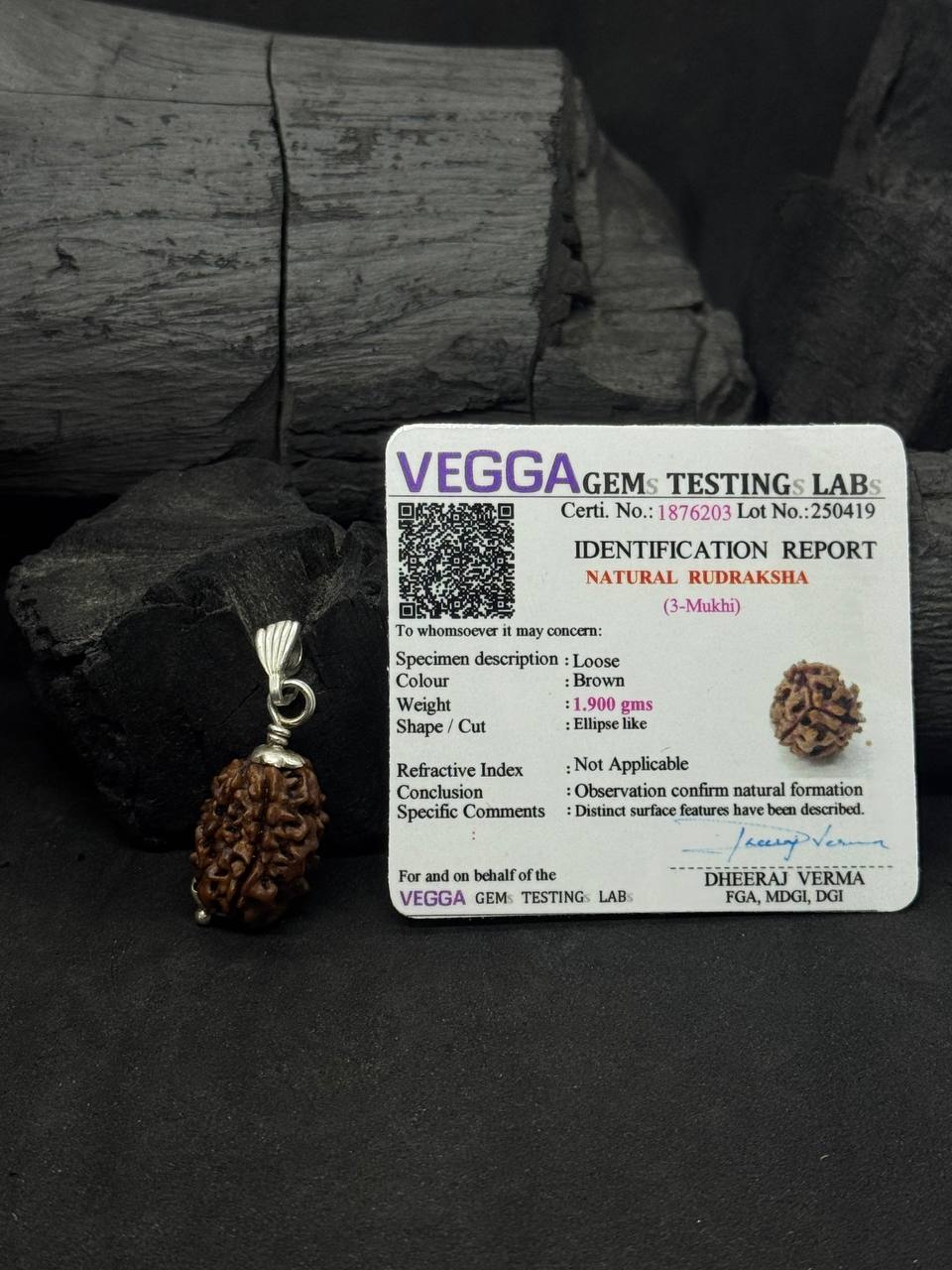 3 Mukhi Rudraksh Pendant with Silver Capped – Courage & Creativity - Image 3