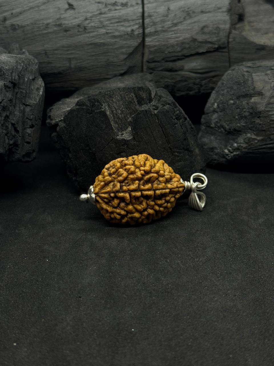 2 Mukhi Rudraksh Pendant with Silver Capped – Protection & Focus - Image 4