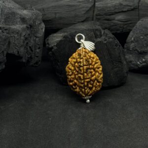 2 Mukhi Rudraksh Pendant with Silver Capped – Protection & Focus