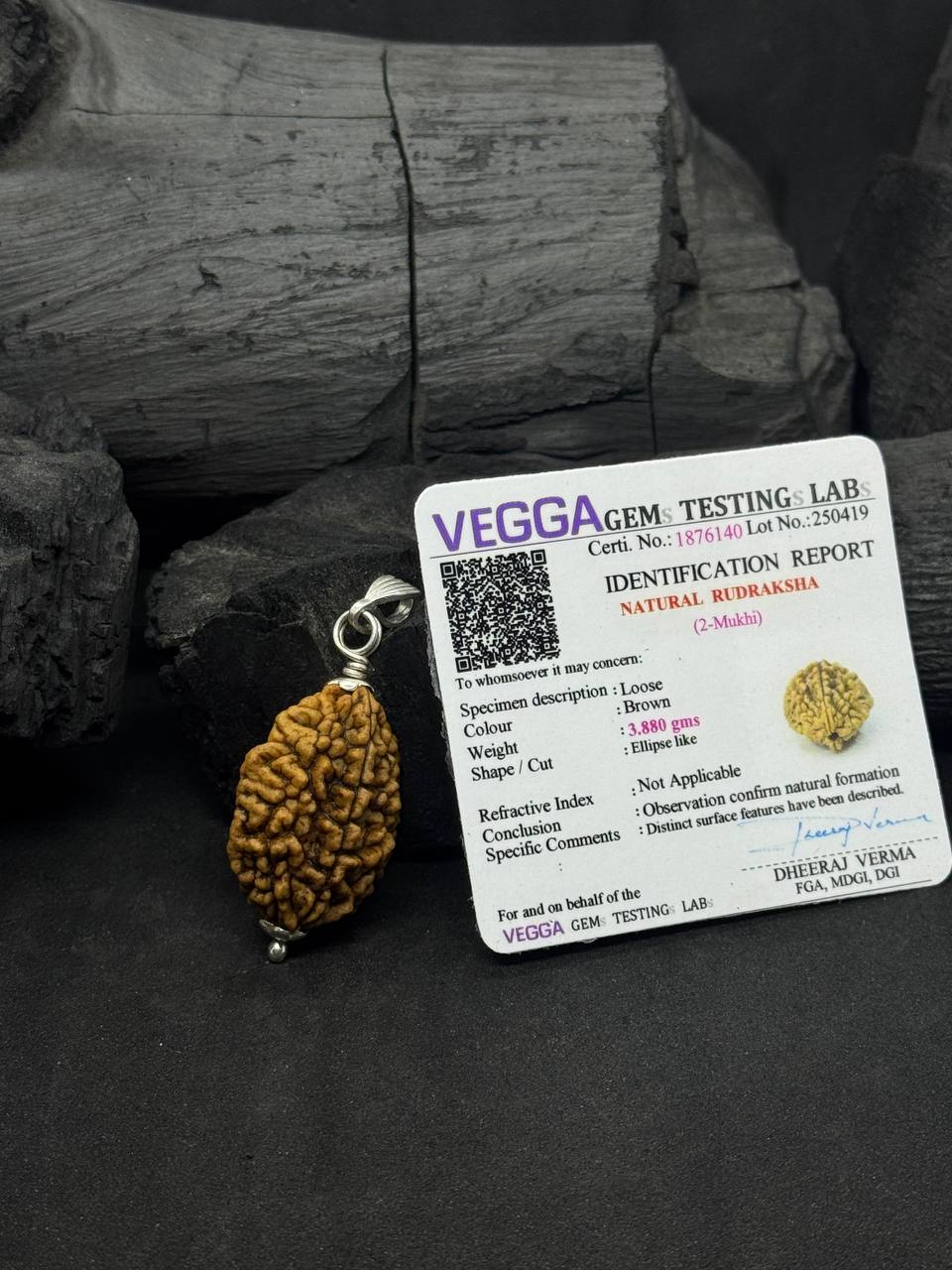 2 Mukhi Rudraksh Pendant with Silver Capped – Protection & Focus - Image 2