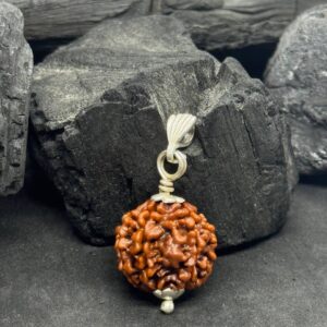 6 Mukhi Rudraksh Pendant with Silver Capped – Healing & Harmony
