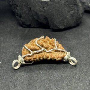1 Mukhi Rudraksh Pendant with Silver Capped – Supreme Spiritual Energy