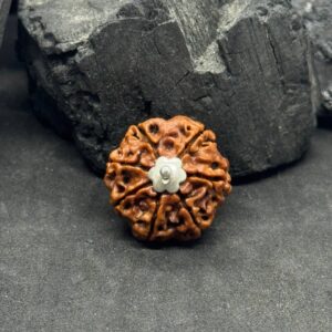 7 Mukhi Rudraksh Pendant with Silver Capped – Wealth & Prosperity